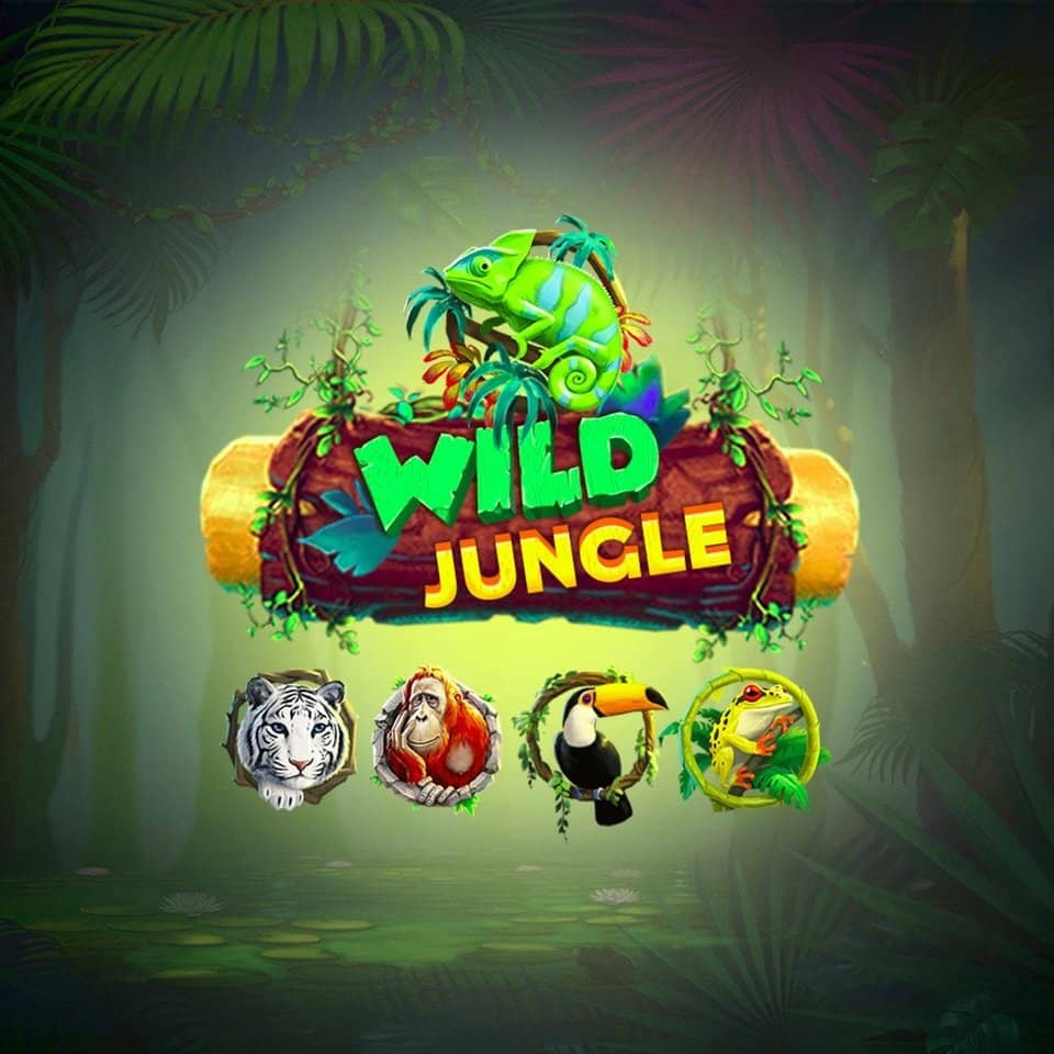 Netbet casino